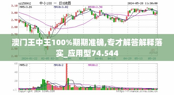 2024澳门王中王100%期期中,精确分析解析说明_精英款26.500