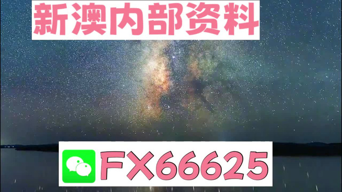 2024新澳天天彩免费资料大全查询,现状解答解释定义_挑战版70.128