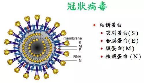 全球心形冠状病毒疫情最新进展及应对策略概览