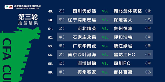 2024新澳三期必出一肖,稳定计划评估_高级版82.168