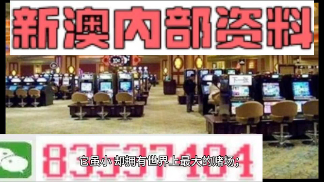 2024新澳门正版精准免费大全,动态说明解析_pro17.396