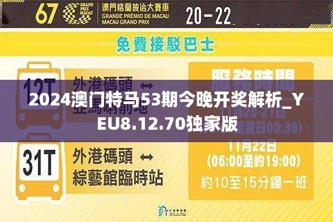 2024澳门今晚开特马开什么,适用性方案解析_bundle41.599