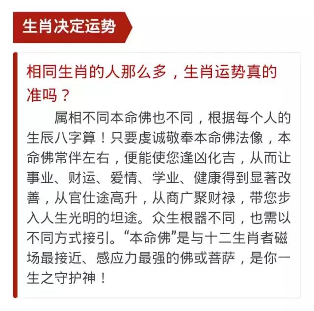 澳门财运网平特三肖三码,专家评估说明_特别款93.633