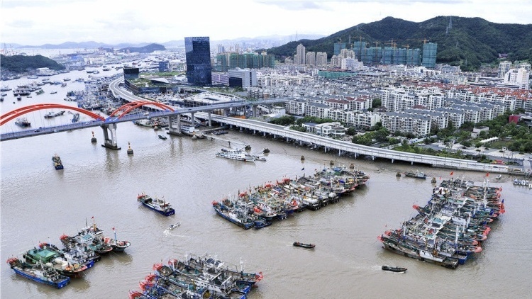 浙江防汛最新消息全面解读