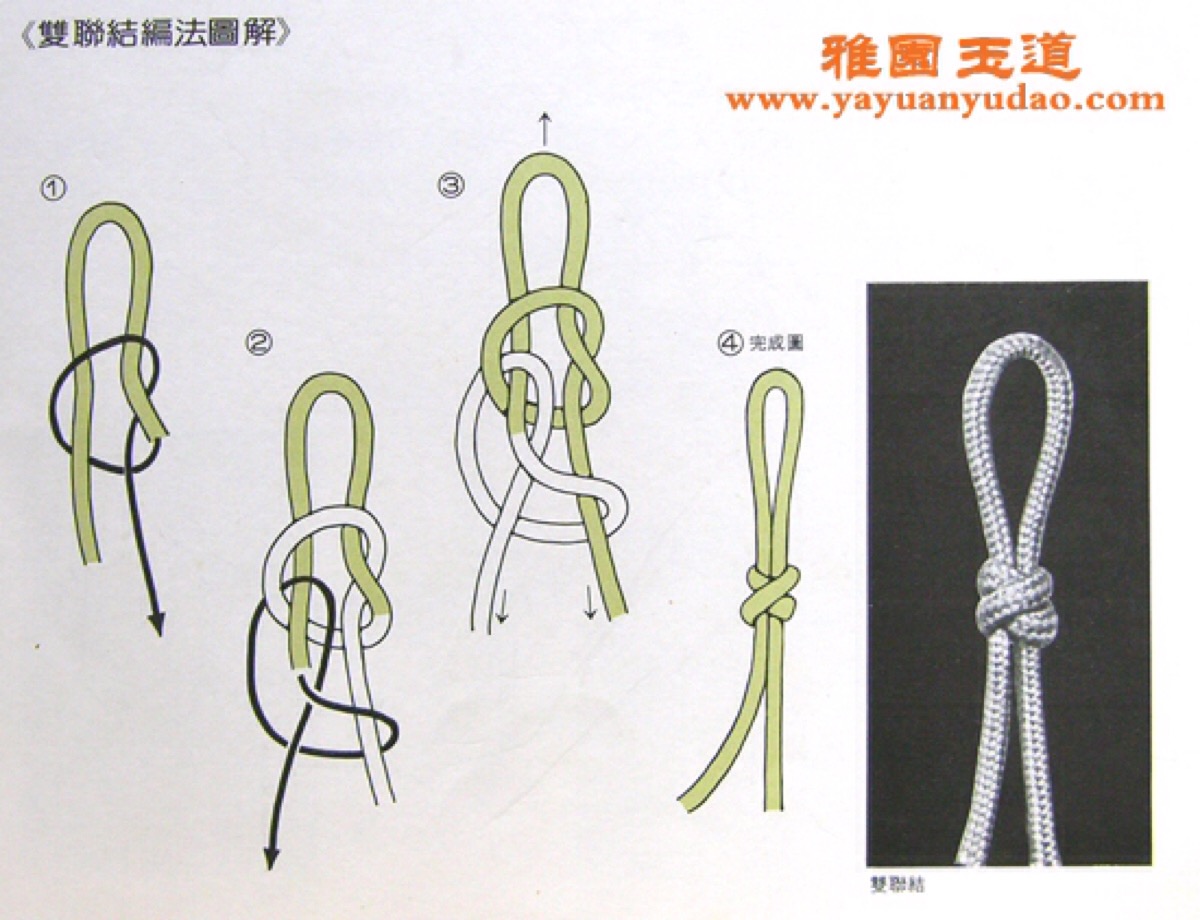 绳结最新版，历史、种类与应用探索