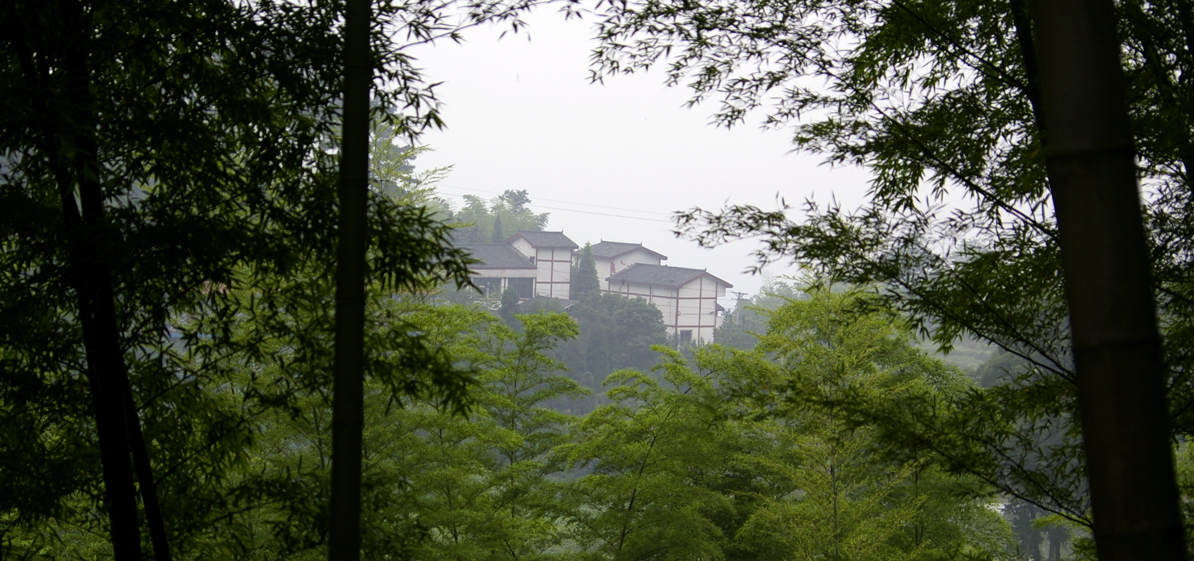 永川茶山竹海探秘之旅