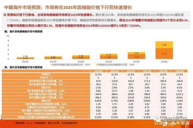 2024新澳天天开奖免费资料大全最新,经济性执行方案剖析_Mixed10.338