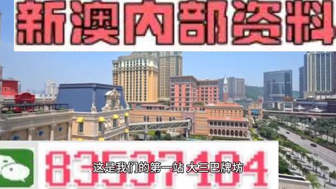 新澳门2024年资料版本，详细解答解释落实_1y900.00.32