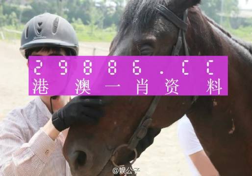 今晚澳门开最准一肖一码，定量解答解释落实_pq26.63.27