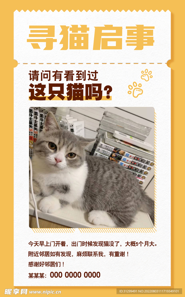 上海全面展开寻猫行动，最新寻猫启事发布