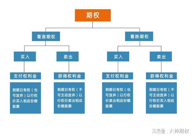 期权新品种探索与未来前景展望