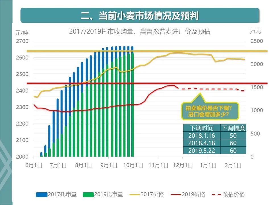 强麦市场最新预测分析与未来走势展望