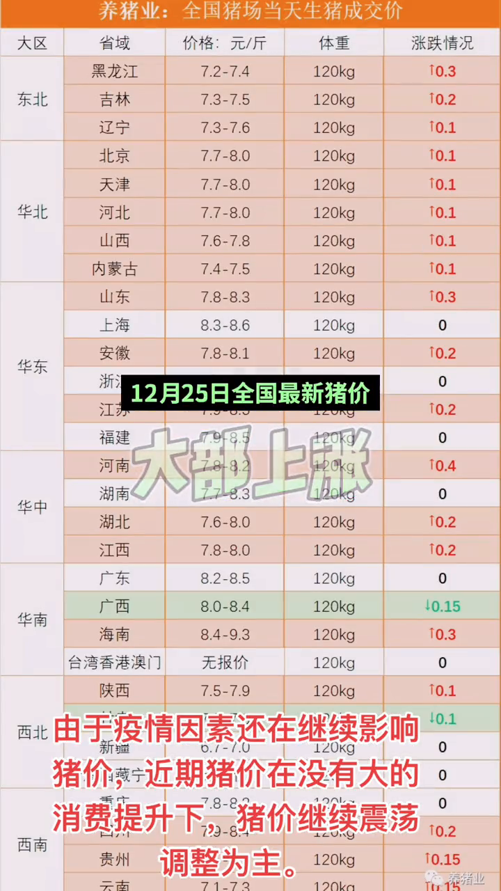 全国最新猪价动态分析与预测，明日猪价走势分析