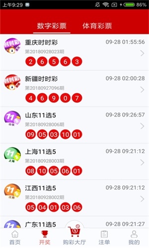 新澳门今晚开奖,专业解析说明_界面版99.478