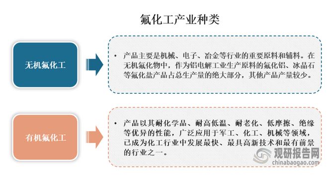 2024正版资料免费公开,深度研究解释,专业研究解析说明_V212.221