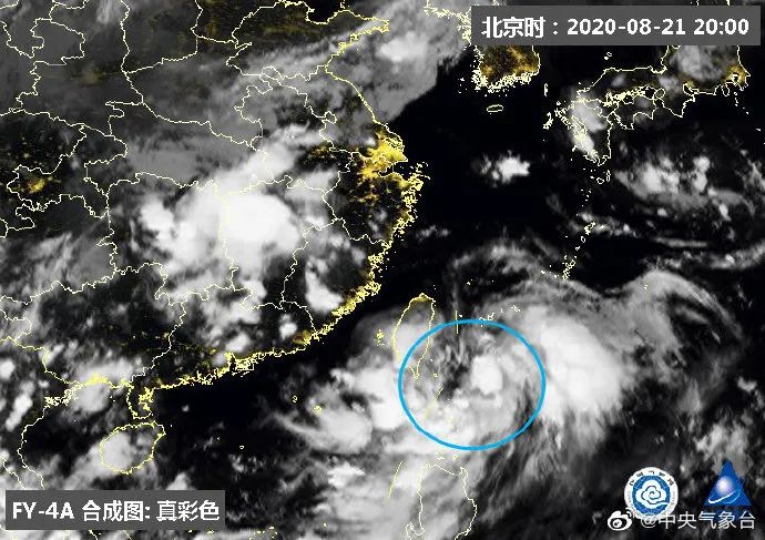 巴微台风最新动态，全面解析影响及应对措施