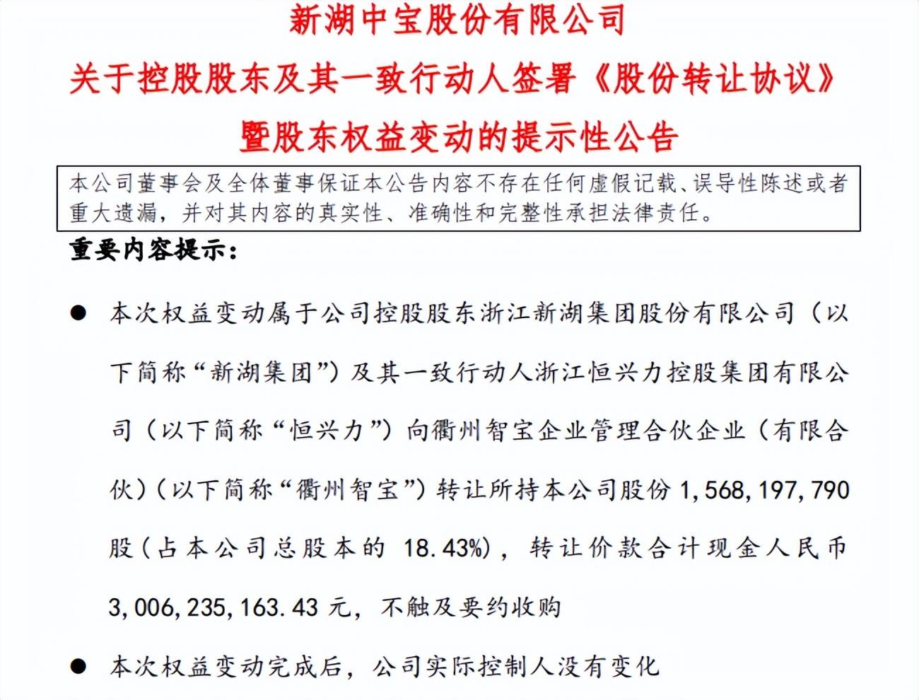 新湖负债最新动态，深度分析与未来展望