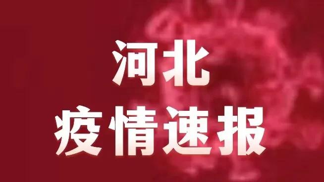 河北省疫情最新通报，坚定信心，携手共克时艰