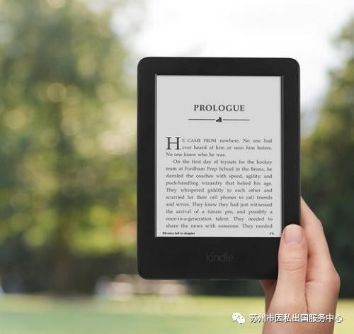 新澳好彩免费资料查询郢中白雪,数据驱动执行决策_Kindle81.608