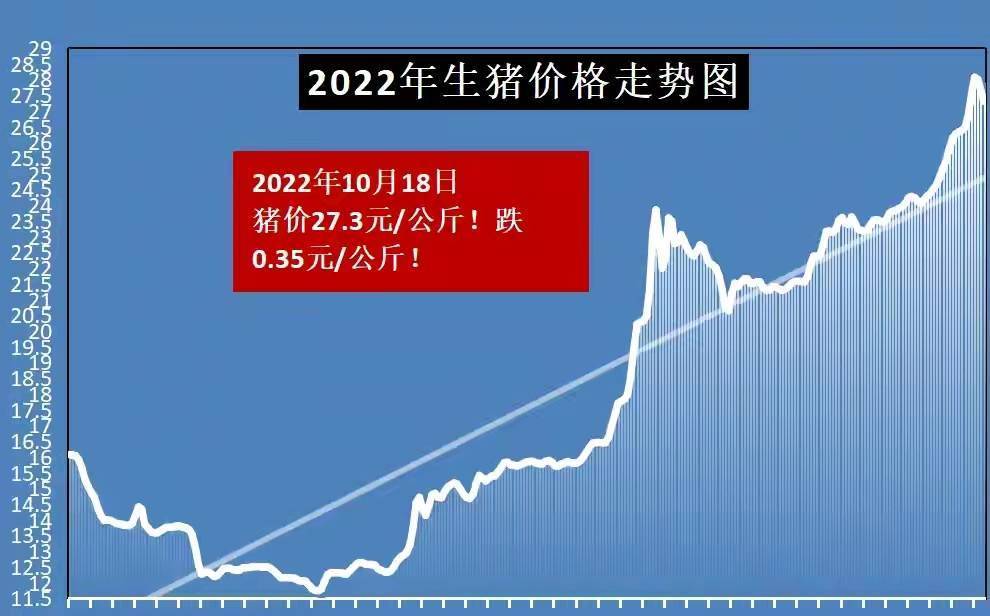 生猪最新价格行情解析