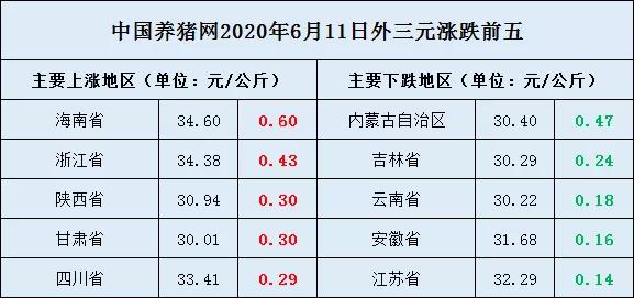 今日猪价上涨最新信息及影响分析