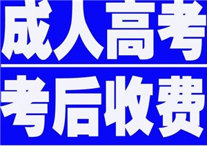 阳谷最新会计，专业技能与未来发展的完美融合